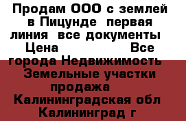 Продам ООО с землей в Пицунде, первая линия, все документы › Цена ­ 9 000 000 - Все города Недвижимость » Земельные участки продажа   . Калининградская обл.,Калининград г.